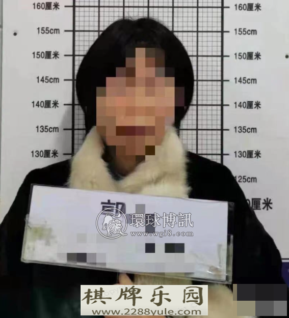 安徽萧县女子网上开设赌场两地警方联手将其抓